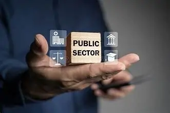 Government & Public Sector