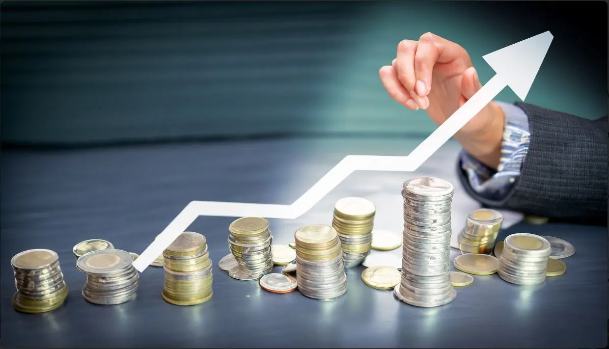 Investment & Asset Management